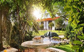 Boutique Complex Trakiets